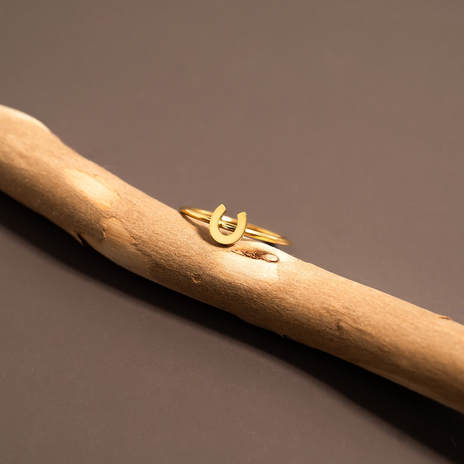 the lucky horseshoe ring