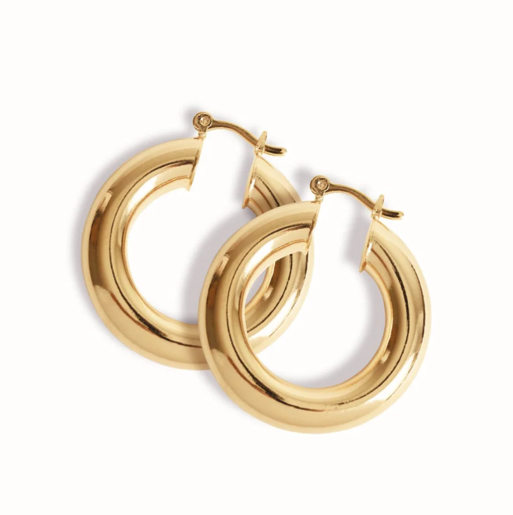 the alpha hoops
